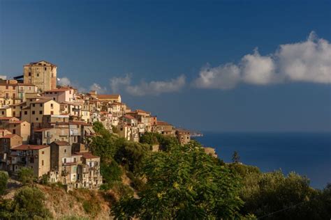 Pisciotta